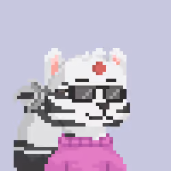 Raccoon Gang #1612