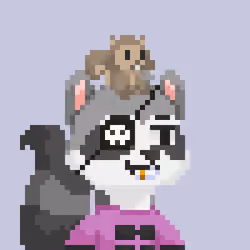 Raccoon Gang #6120