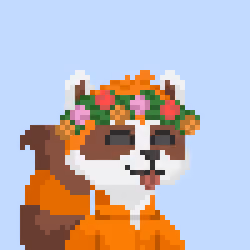 Raccoon Gang #7343