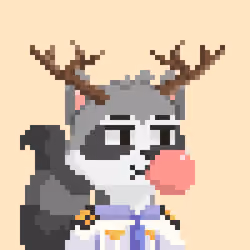 Raccoon Gang #5691