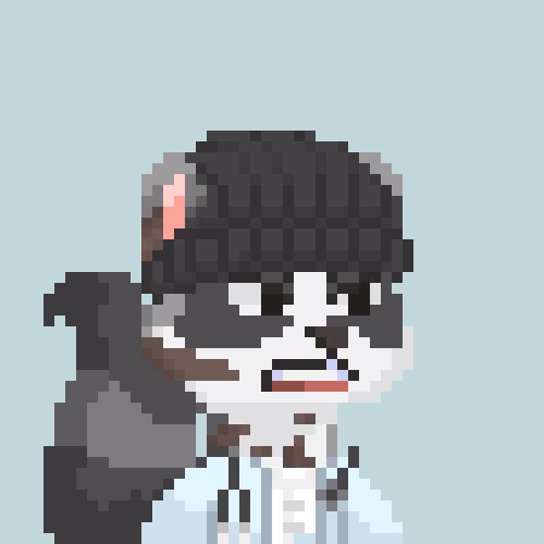 Raccoon Gang #6849