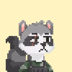 Raccoon Gang #8067