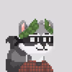 Raccoon Gang #3032