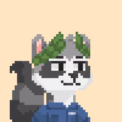 Raccoon Gang #1971