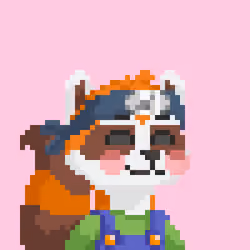 Raccoon Gang #4137