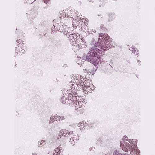 Ex Libris 3