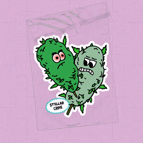 Nftbestbuds