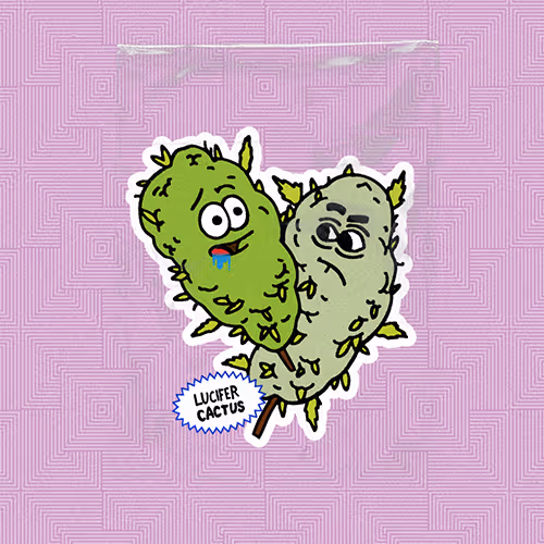 Nftbestbuds