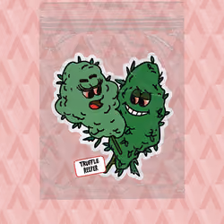 BestBuds#8