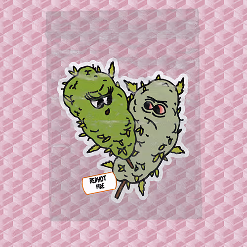 Nftbestbuds