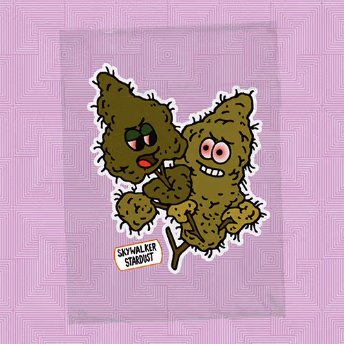 Nftbestbuds