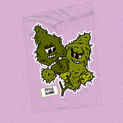 BestBuds#1050