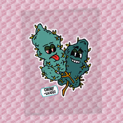 BestBuds#4196
