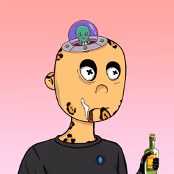 2497