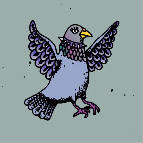 Hood Pigeon #1040