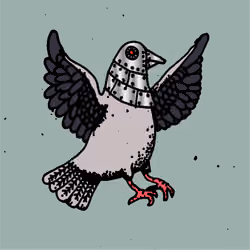 Hood Pigeon #2455
