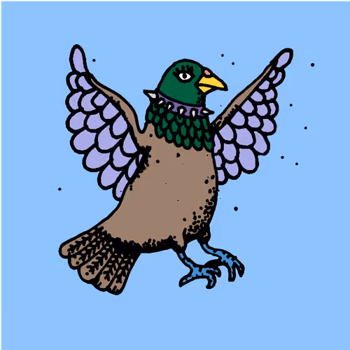 Hood Pigeon #1066