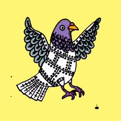 Hood Pigeon #187