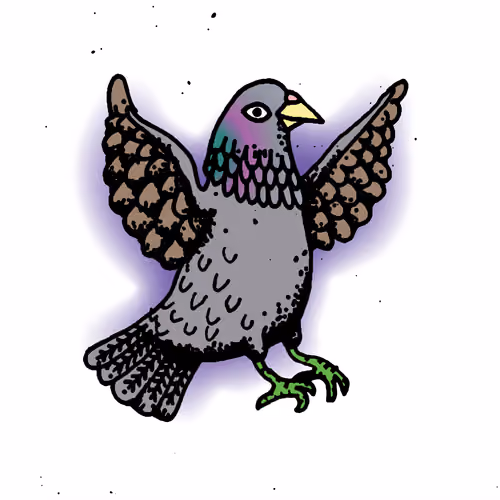 Hood Pigeon #1063