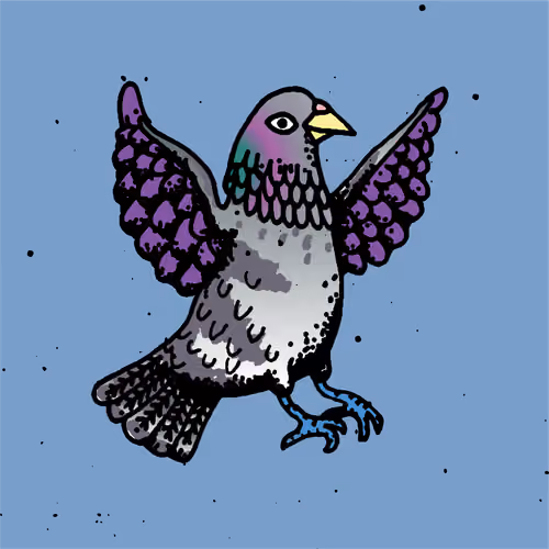 Hood Pigeon #2707