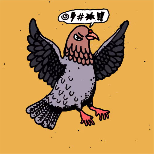 Hood Pigeon #2526