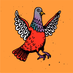 Hood Pigeon #400