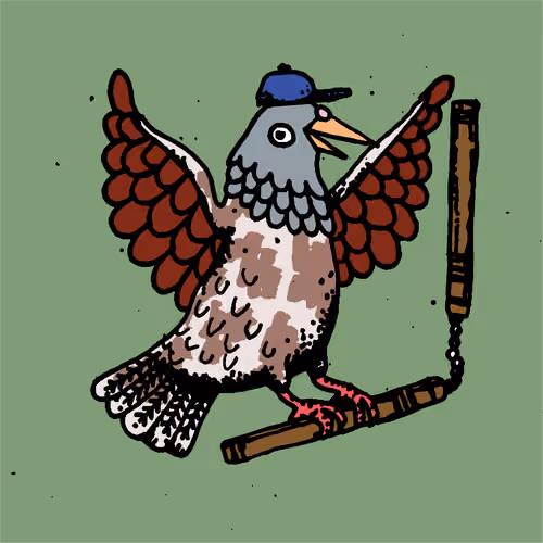 Hood Pigeon #237