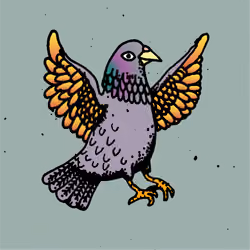 Hood Pigeon #304