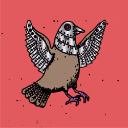 Hood Pigeon #1470