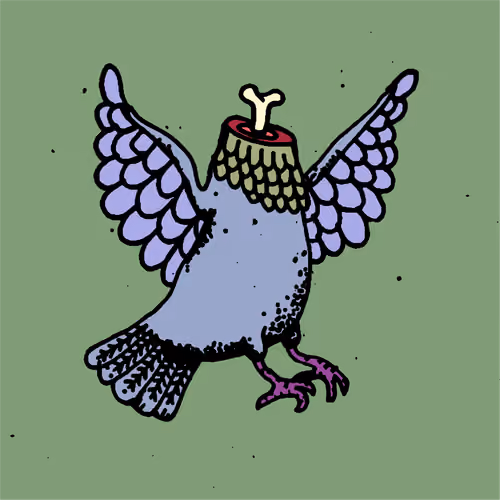 Hood Pigeon #2536