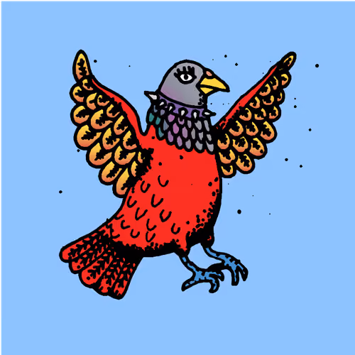 Hood Pigeon #2672