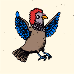 Hood Pigeon #562