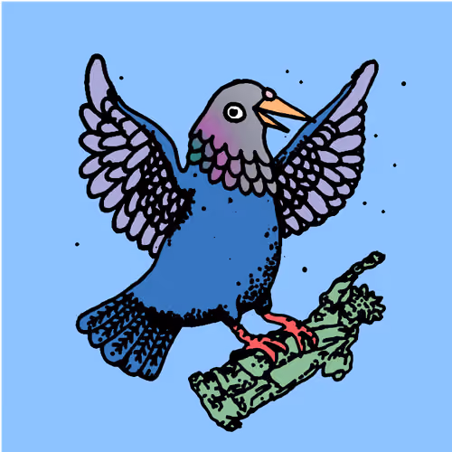 Hood Pigeon #22