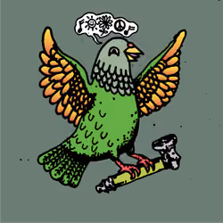 Hood Pigeon #1487