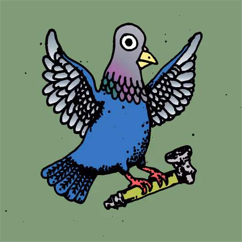 Hood Pigeon #538