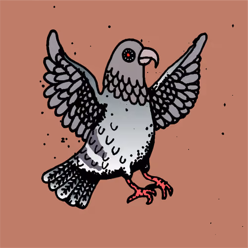 Hood Pigeon #2076