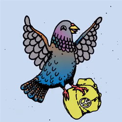 Hood Pigeon #941