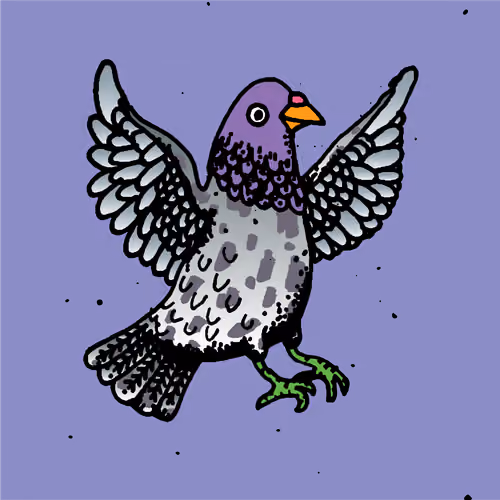 Hood Pigeon #918