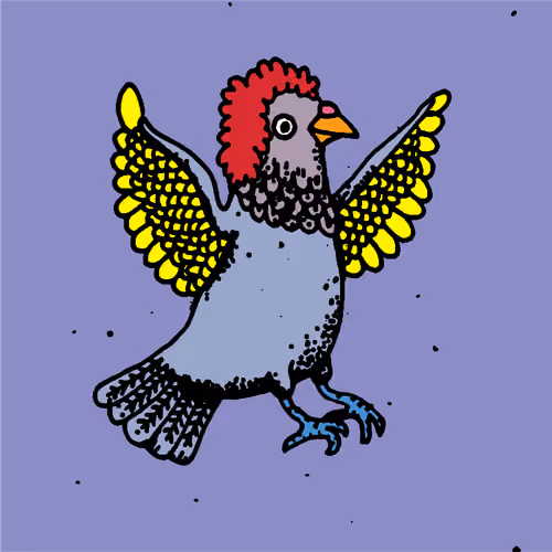 Hood Pigeon #770