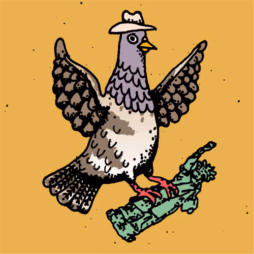 Hood Pigeon #1503