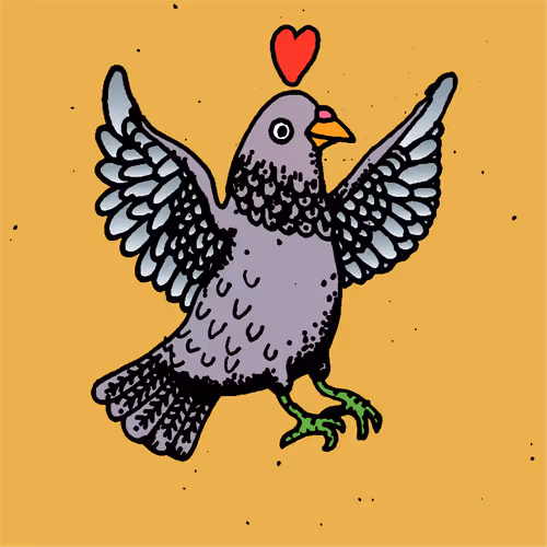 Hood Pigeon #862