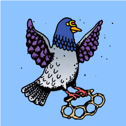 Hood Pigeon #864