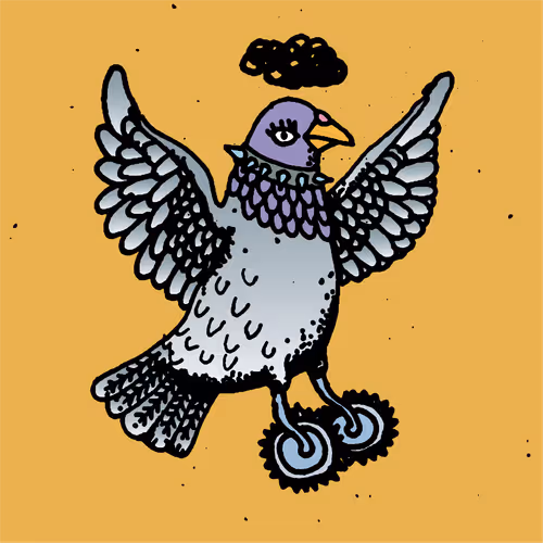 Hood Pigeon #1389