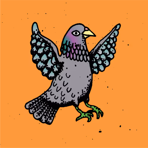 Hood Pigeon #1169