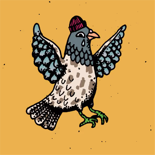 Hood Pigeon #2468