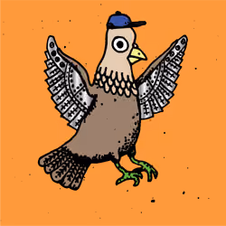 Hood Pigeon #1027