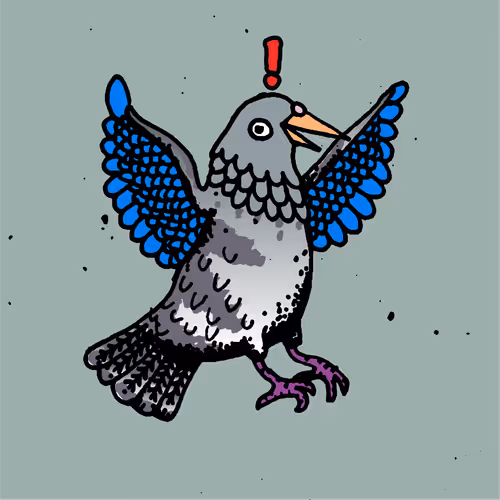 Hood Pigeon #2095