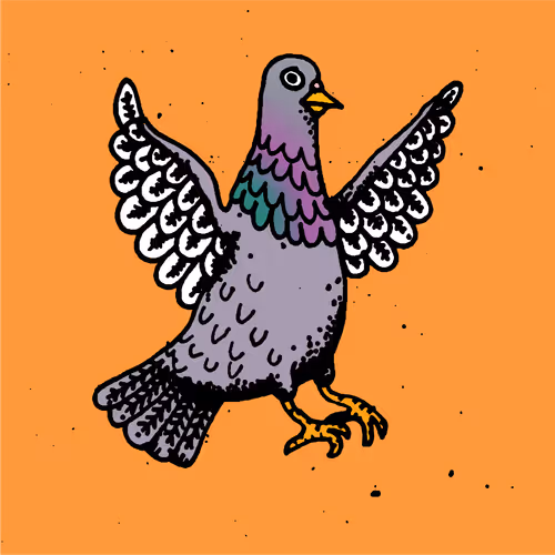 Hood Pigeon #2001