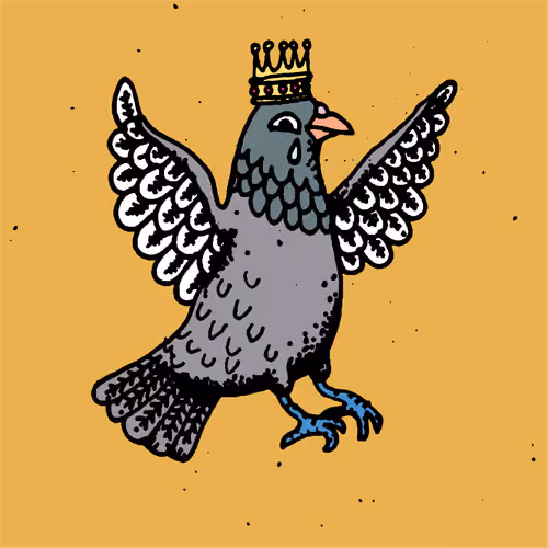 Hood Pigeon #2148