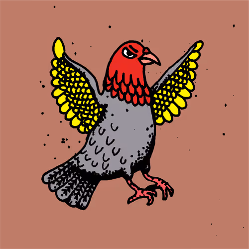 Hood Pigeon #1866